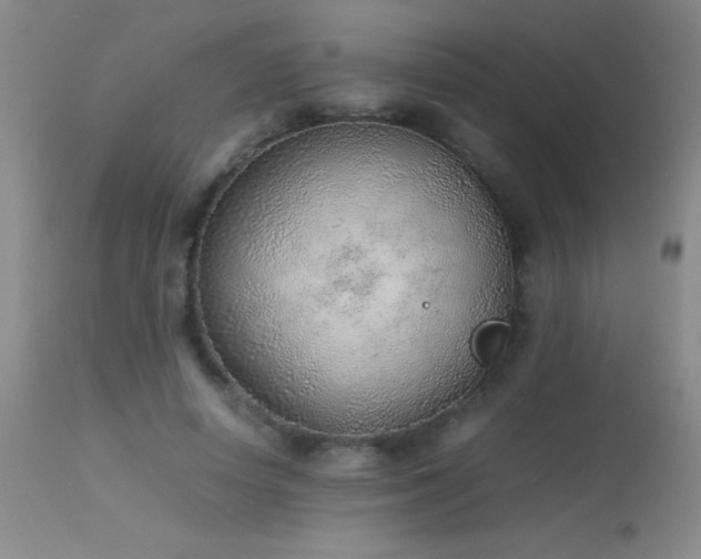 X0000114220642200910091348