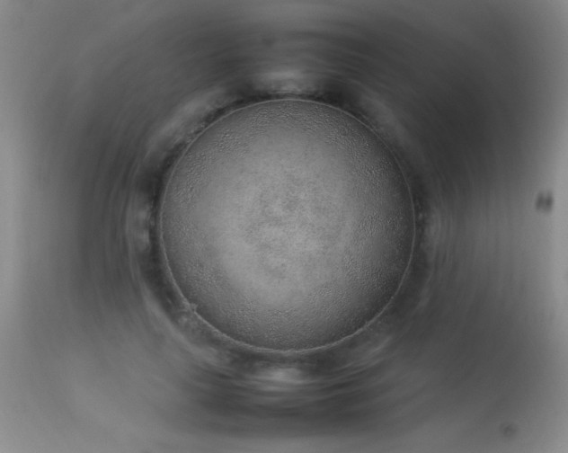 X0000114220643200910091348