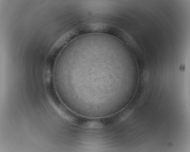 X0000114220644200910091348