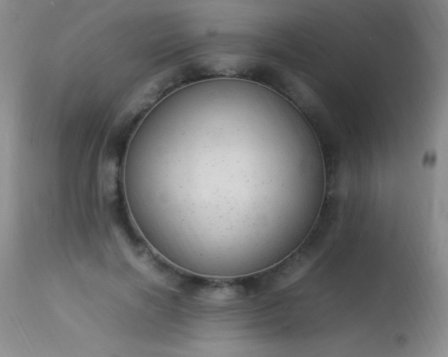 X0000114220646200910091348