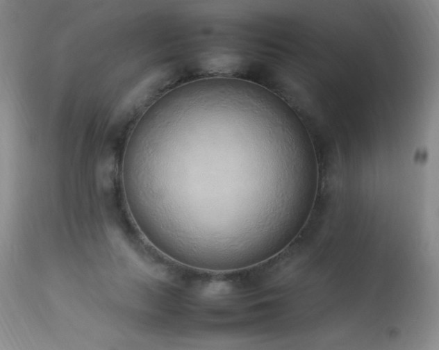 X0000114220647200910091348