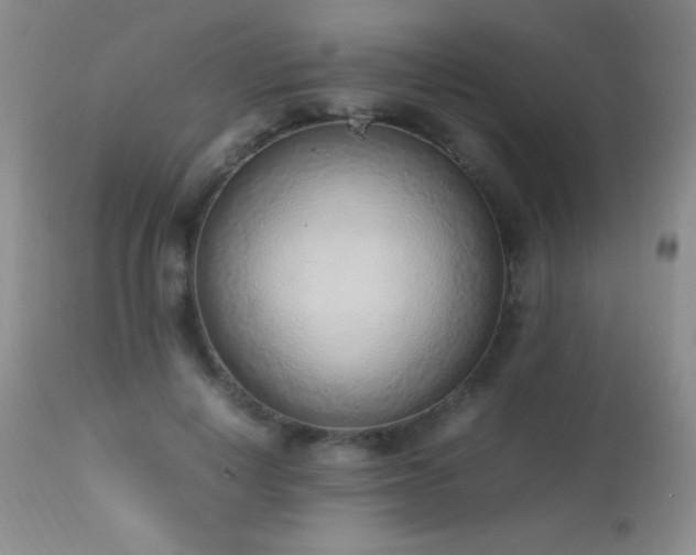 X0000114220648200910091348