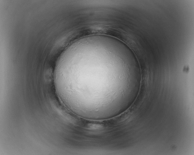 X0000114220649200910091348