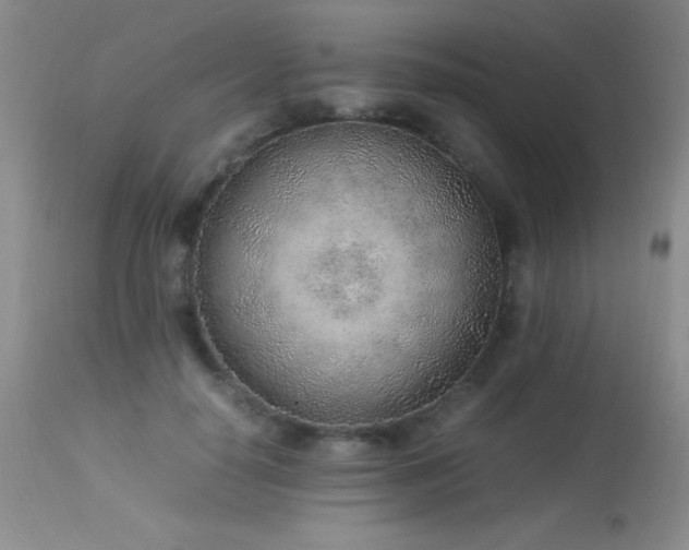 X0000114220650200910091348