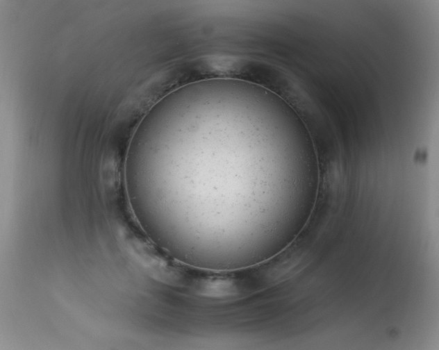 X0000114220651200910091348