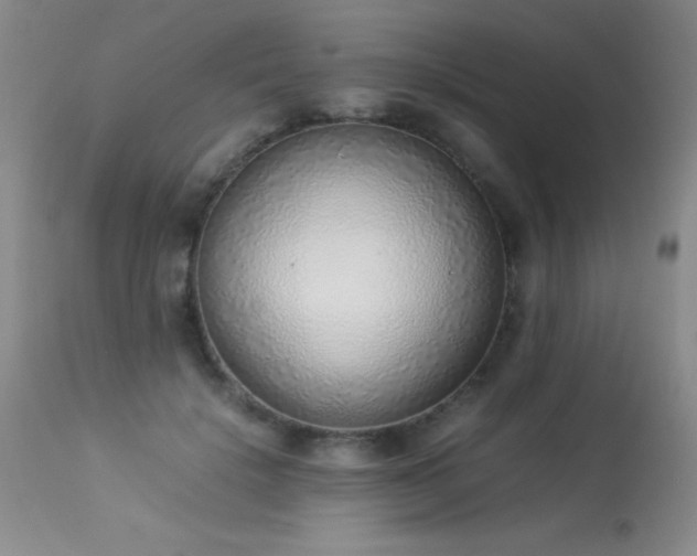 X0000114220652200910091348