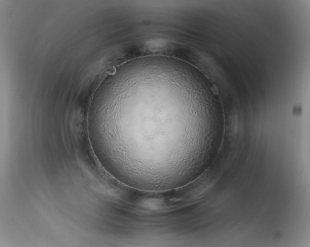 X0000114220653200910091348