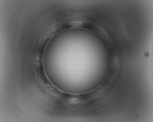 X0000114220655200910091348