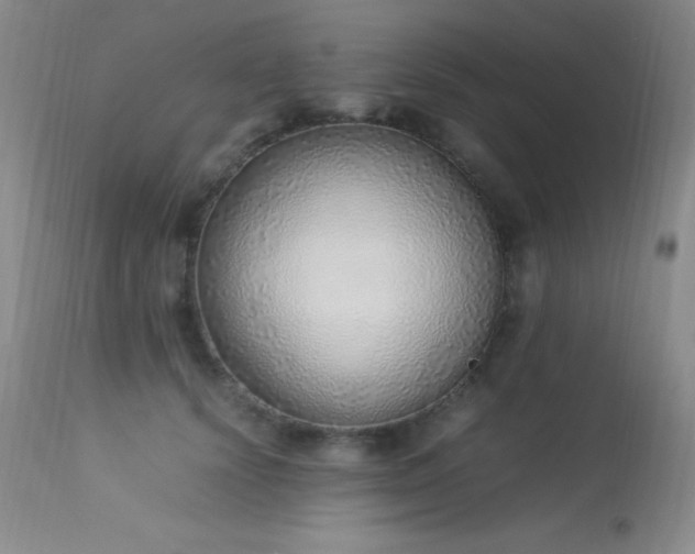 X0000114220656200910091348