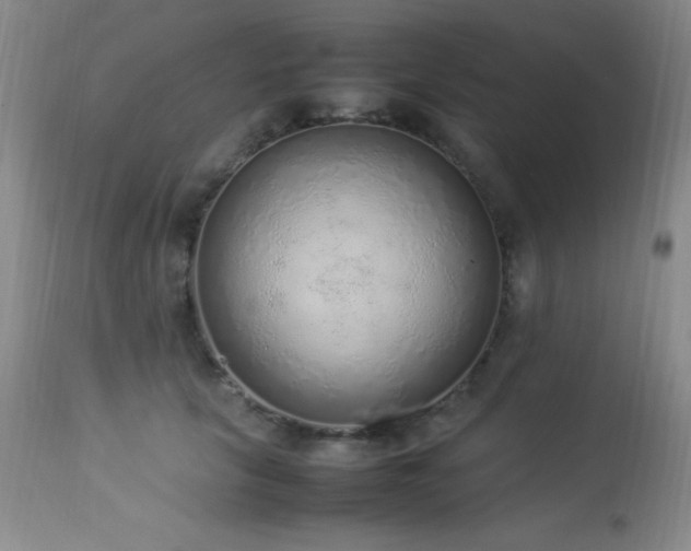 X0000114220657200910091348