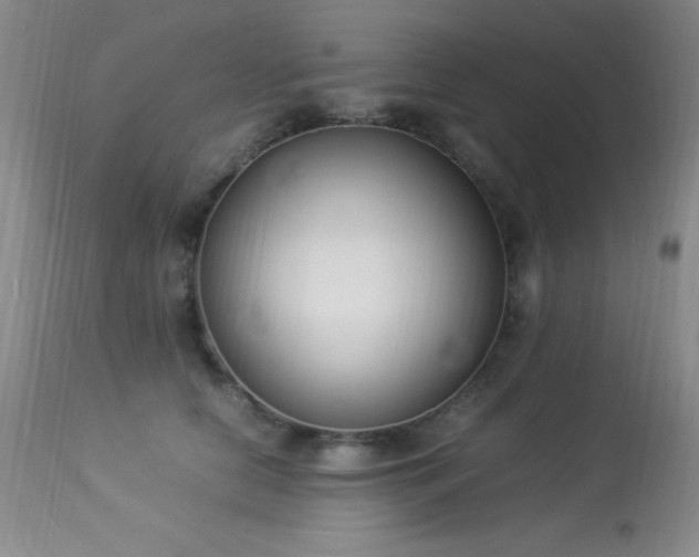 X0000114220658200910091349