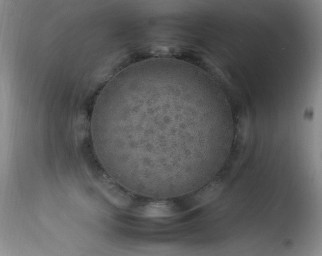 X0000114220659200910091349