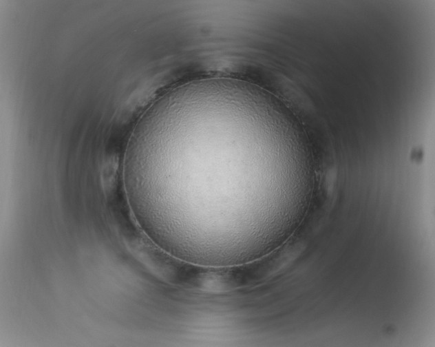 X0000114220660200910091349