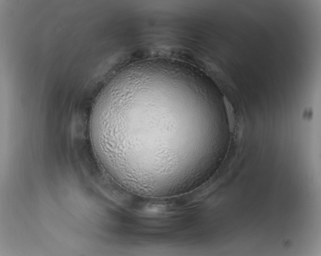 X0000114220661200910091349