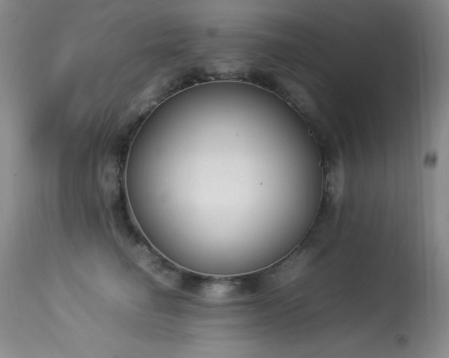 X0000114220662200910091349