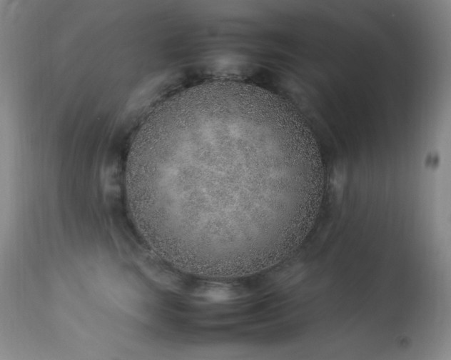 X0000114220663200910091349