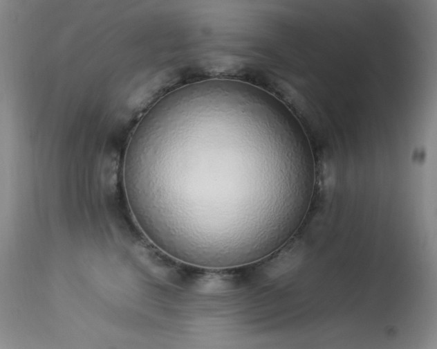 X0000114220664200910091349