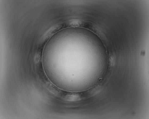 X0000114220665200910091349