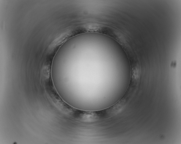 X0000114220666200910091349