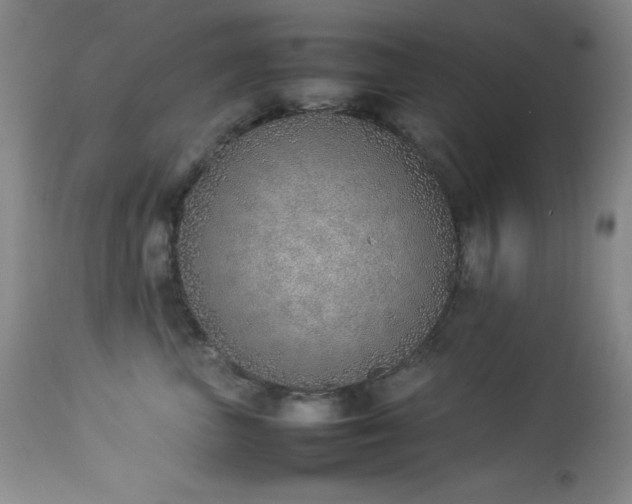 X0000114220667200910091349