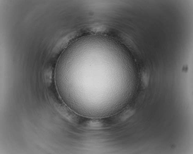 X0000114220668200910091349