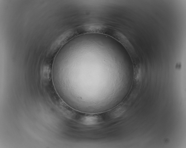 X0000114220669200910091349