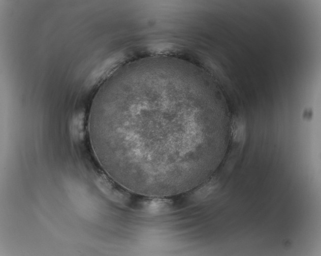 X0000114220670200910091349