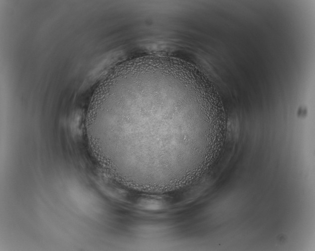 X0000114220671200910091349