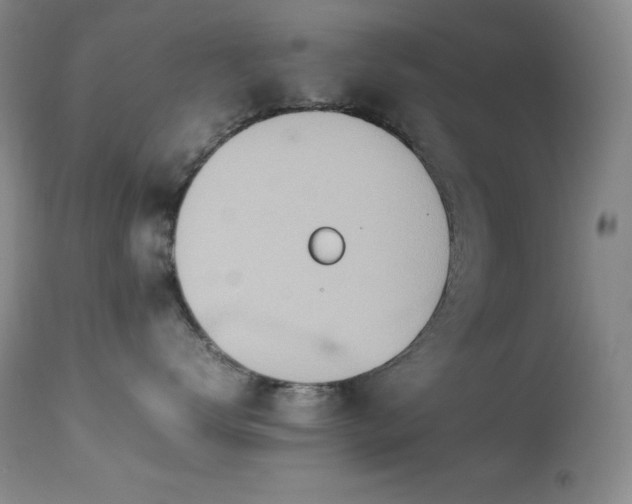 X0000114220672200910091349