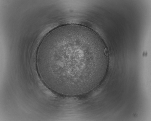 X0000114220673200910091348