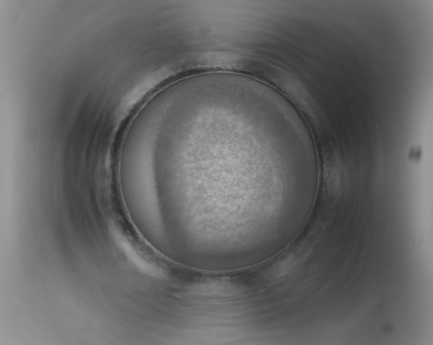 X0000114220674200910091348