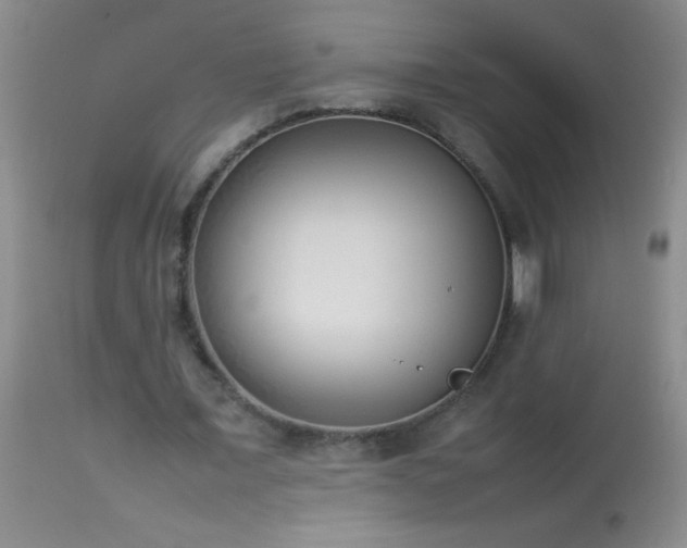 X0000114220675200910091348