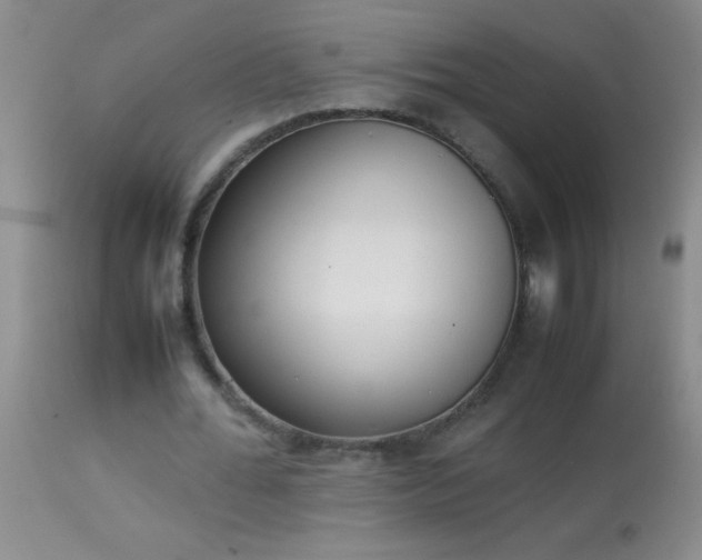 X0000114220676200910091348