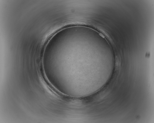 X0000114220677200910091348