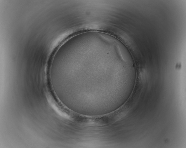 X0000114220678200910091348