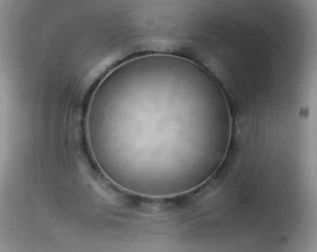 X0000114220679200910091348