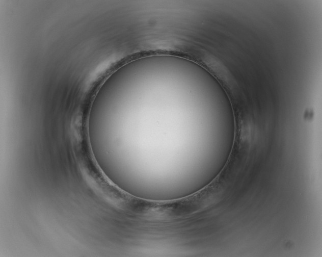 X0000114220680200910091348