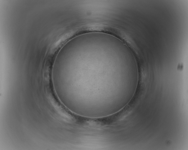 X0000114220681200910091348