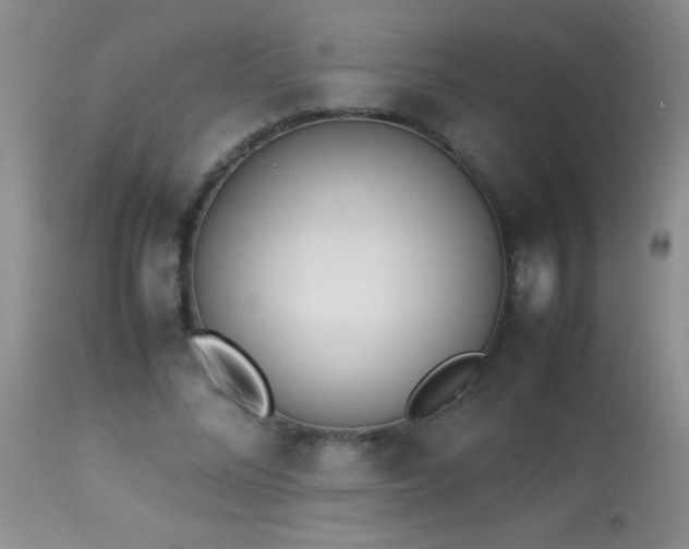 X0000114220684200910091348