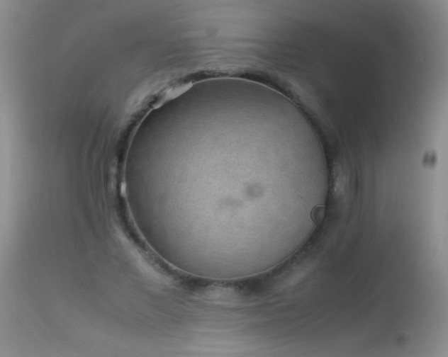 X0000114220685200910091348