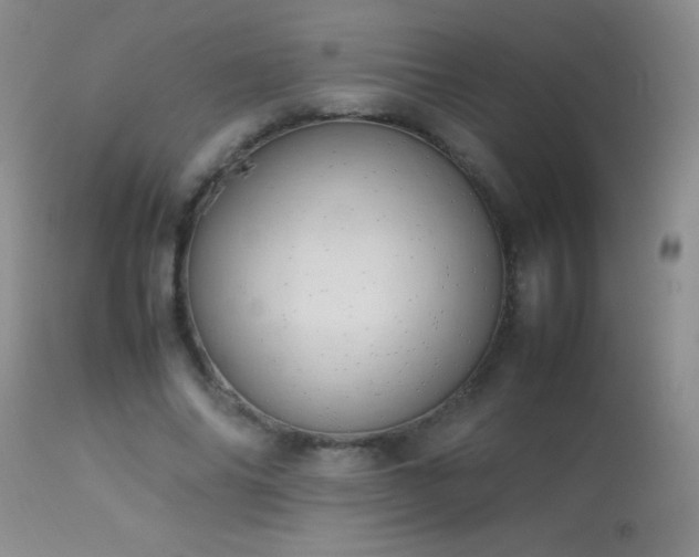 X0000114220686200910091348