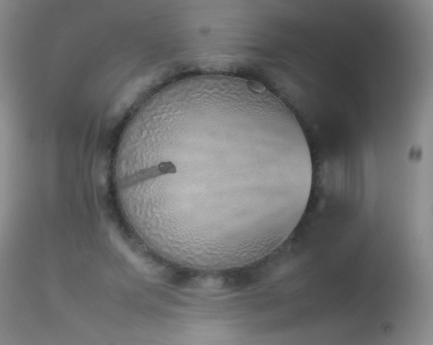 X0000114220687200910091348