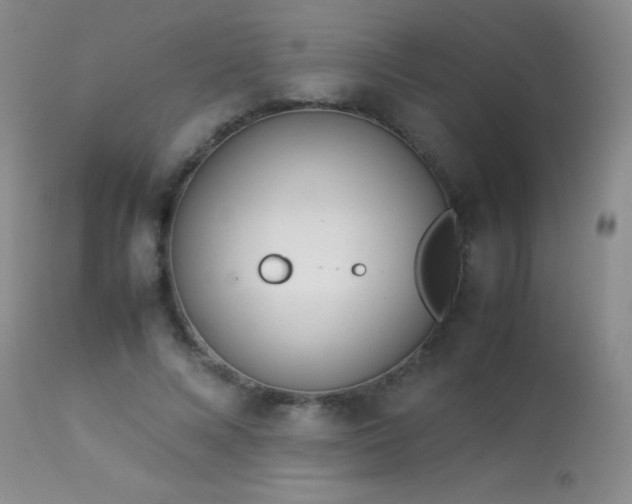 X0000114220688200910091348