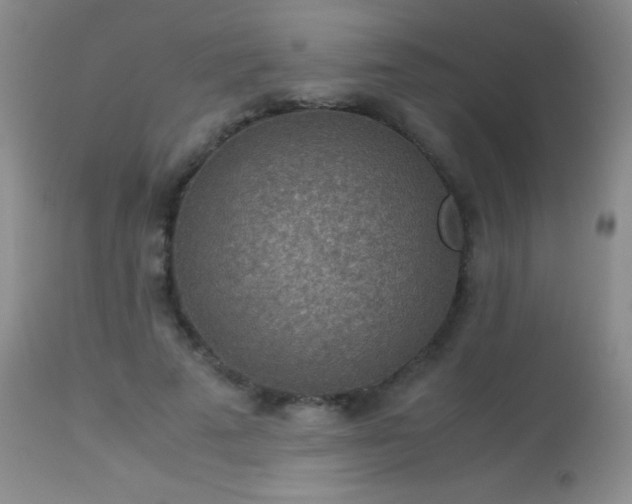 X0000114220689200910091348