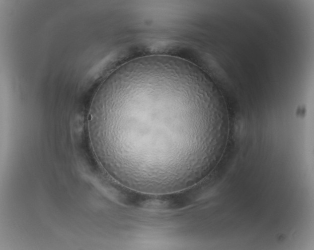 X0000114220691200910091348