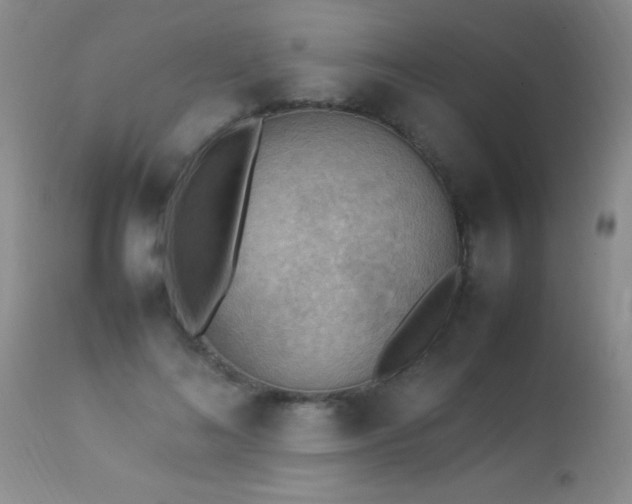 X0000114220692200910091348