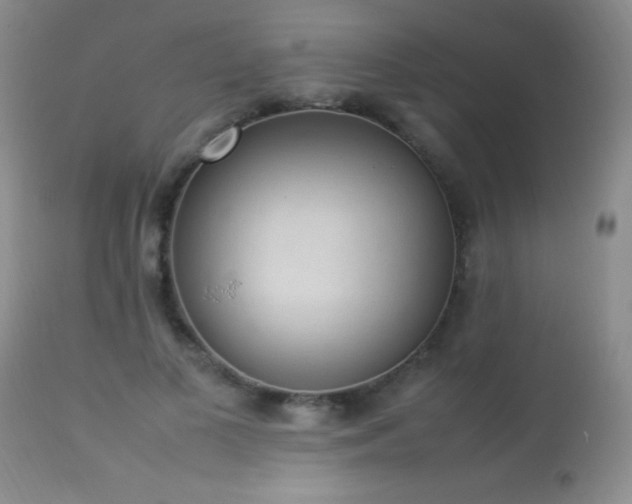 X0000114220693200910091348