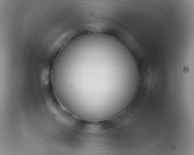 X0000114220694200910091348