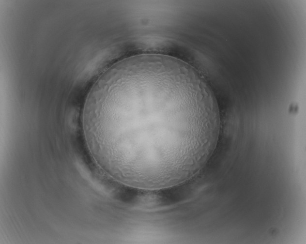 X0000114220695200910091348