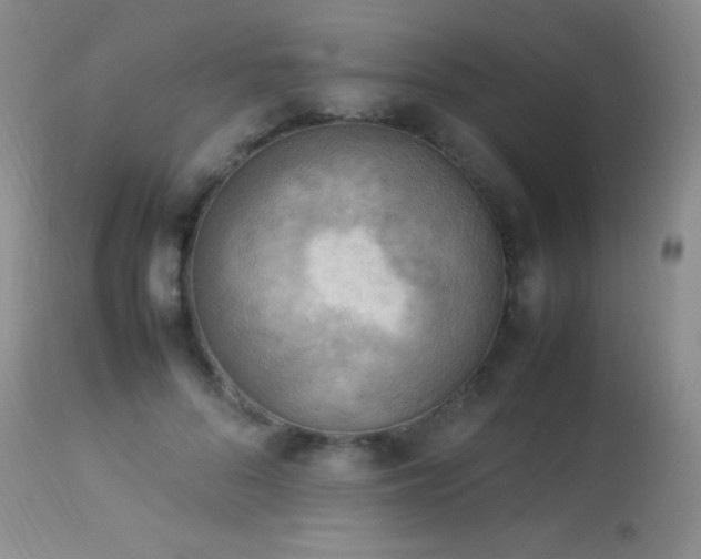 X0000114220696200910091348